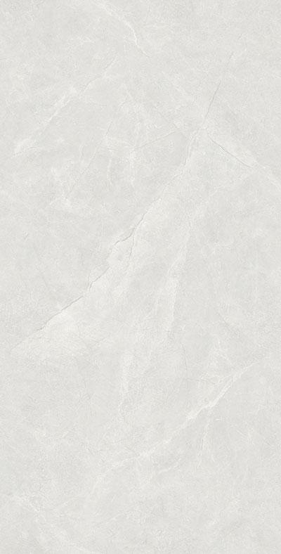 TTB715898-W 羅德里戈